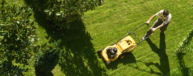 top view man mowing field push mower