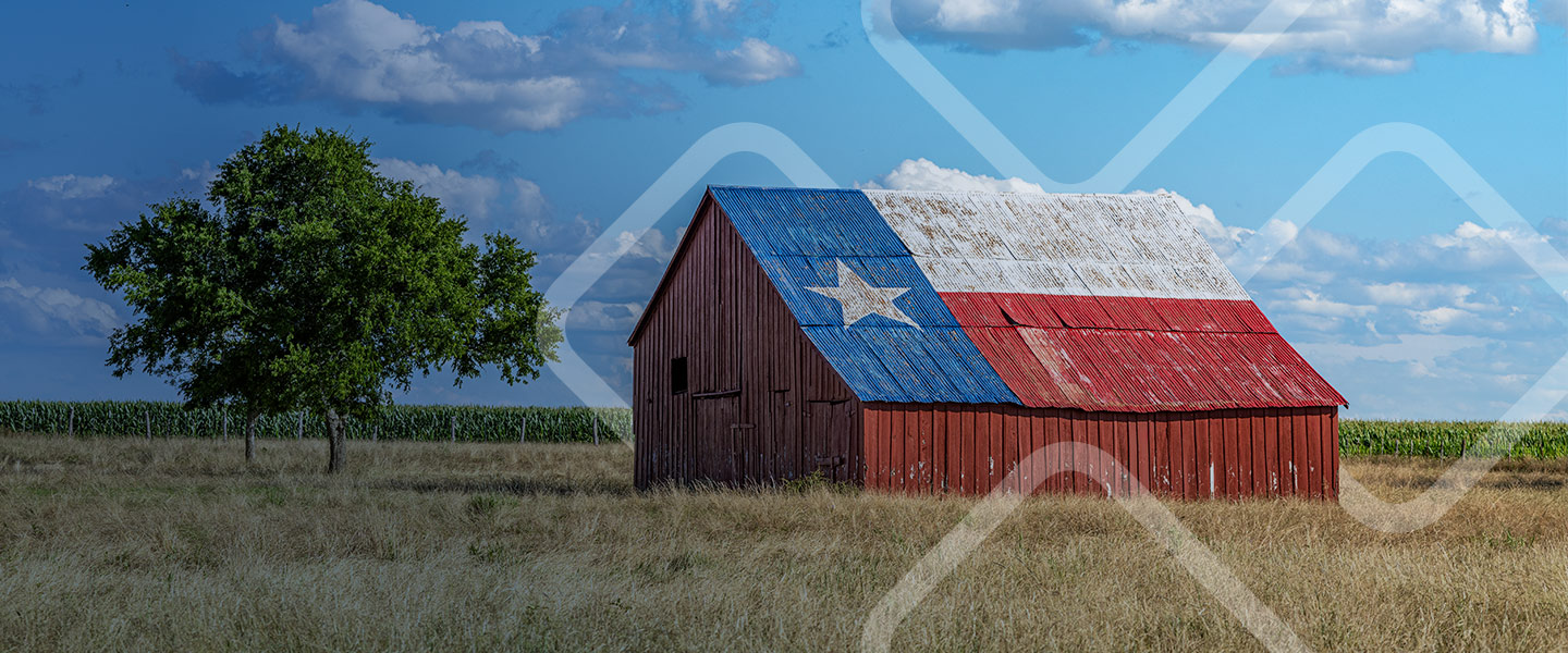 Barn in a field with the Texas flag painted on it's roof.