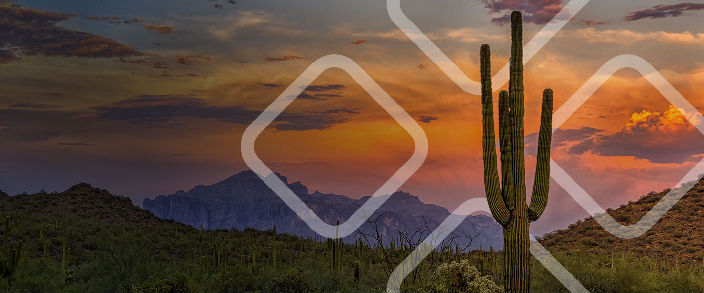 Arizona saguaro cactus in desert at dusk